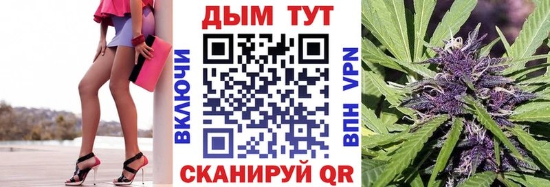 сколько стоит  Малая Вишера  Бошки Шишки семена 